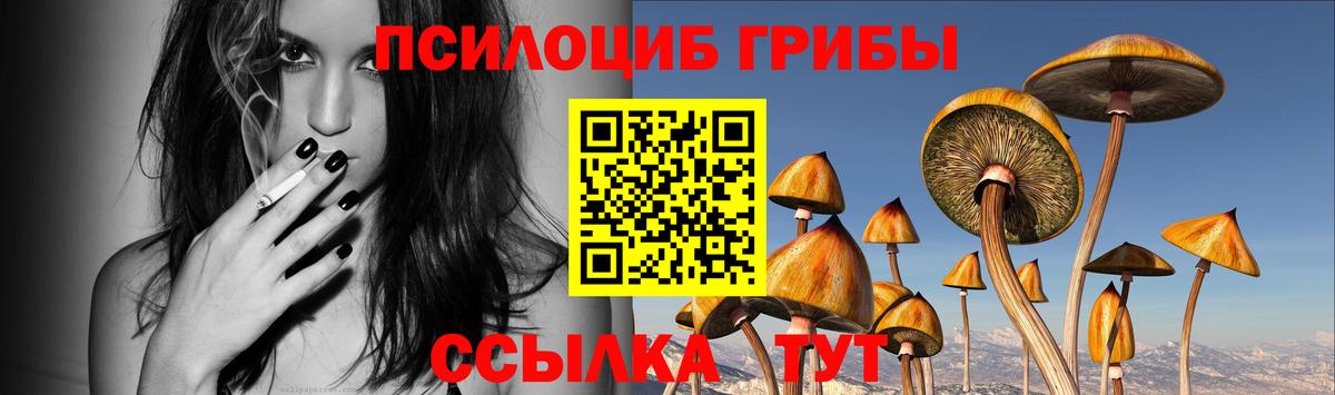 Псилоцибиновые грибы Psilocybe  Вход с VPN  Мценск 